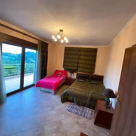 Zeus Villa Paliouri